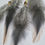 Miniature : Boucle d'oreilles en plume