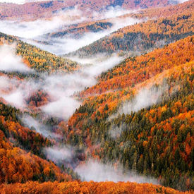 Where to Stay for the Selva de Irati: The Best Bases in Ochagavía and the Navarrese Pyrenees