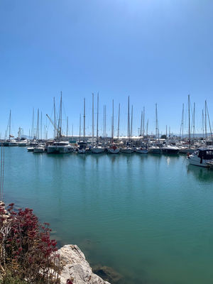 Marina at the Port of Gandia