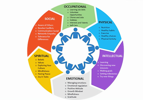 STC-Whole-Person-Approach-Infographic_20