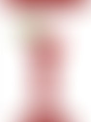 Fame - Intervista all'autrice Isabella Corrado. Quando la fame diventa ossessione per sopperire 