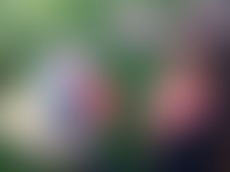 Viaggi letterari sostiene Martina Dei Cas con “Il Quaderno del destino” e “Cacao Amaro”: un’ iniziat