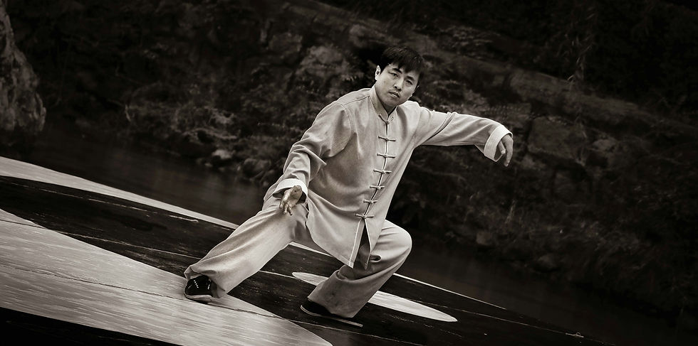 Tai Chi practitioner practicing forms.