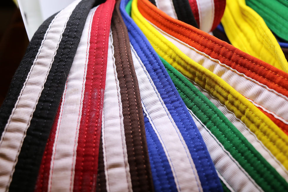 Close-up of colorful woven fabric Karate Belts, fanned out in black, white, red, brown, blue, green, yellow, and orange patterns.