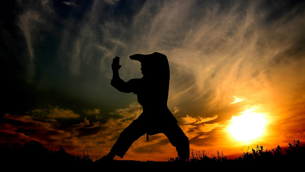 Silhouette of a martial artist posing in a Karate Stance against a dramatic orange sunset with wispy clouds and dark grass foreground