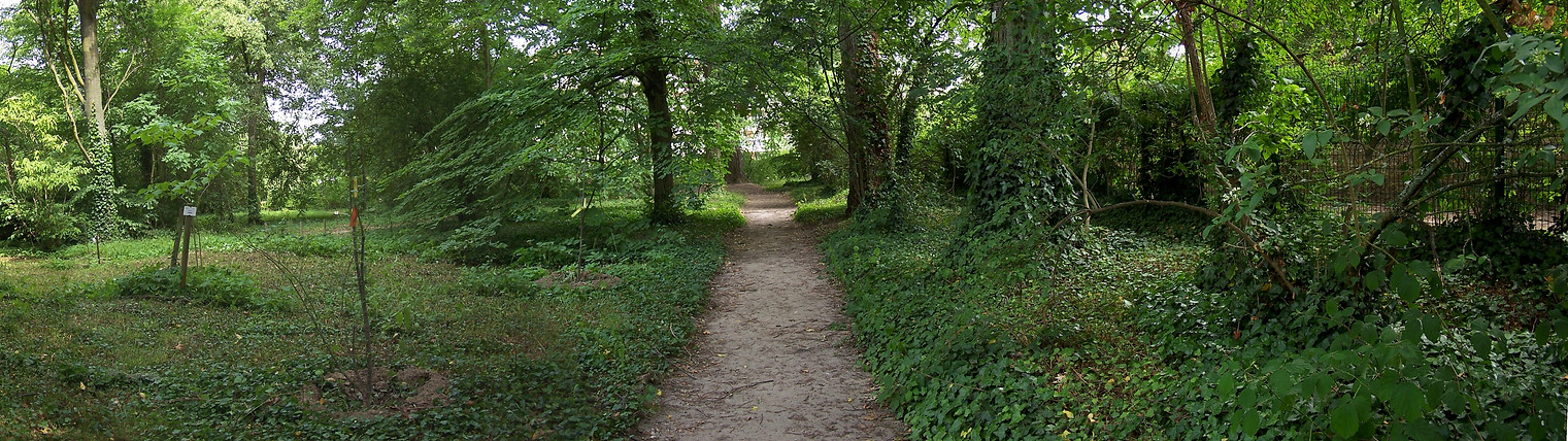 panoramique-01.jpg