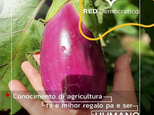 Agricultura ta e jabi pa nos Futuro