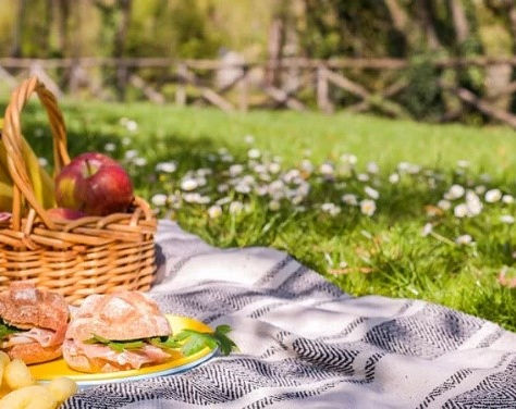 Quest News Issue 90- 19th June 2023