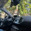 Miniatura: [VENDIDO] Peugeot 308 Feline 1.5 BlueHDI 130HP