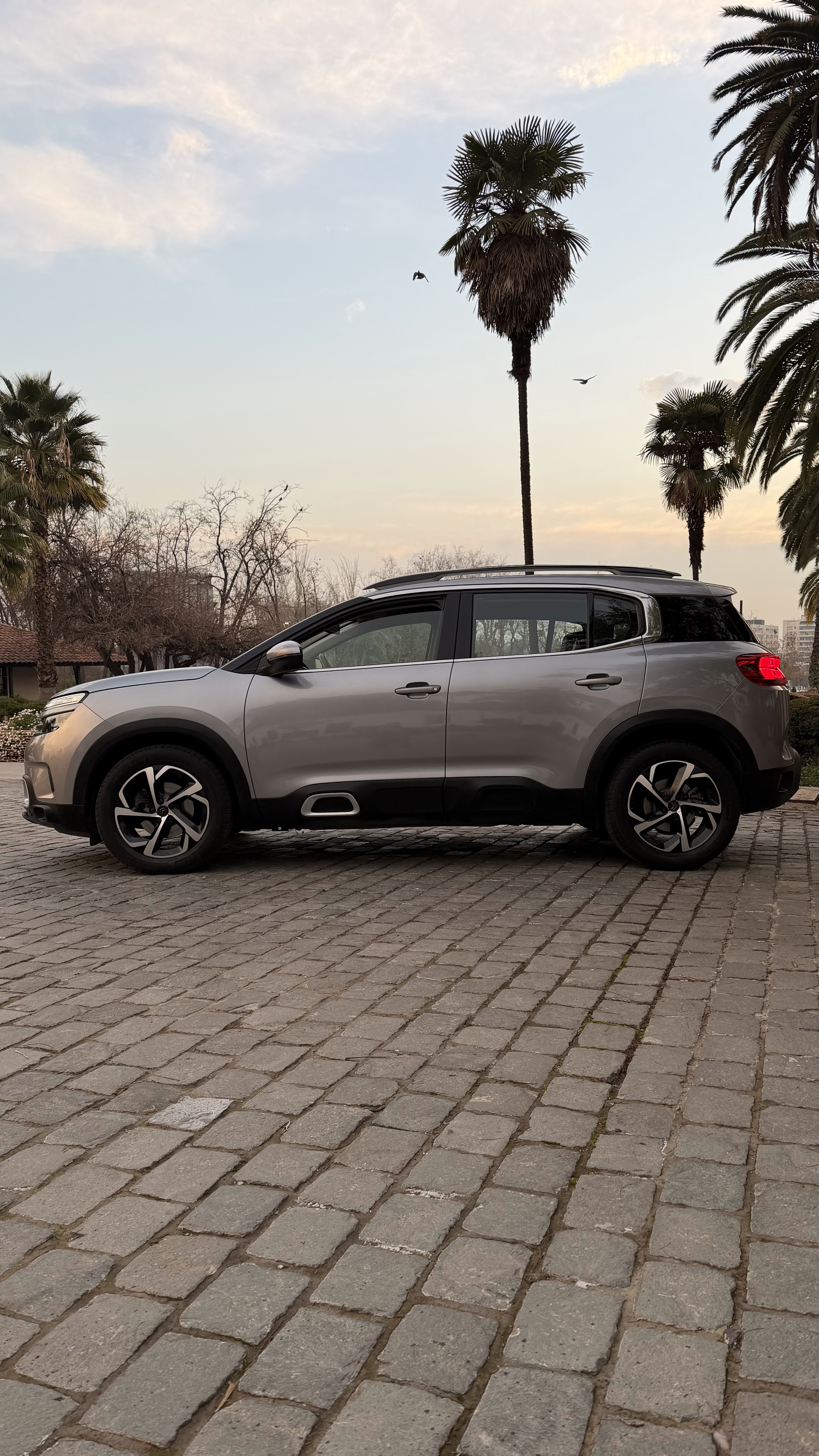 Citroën C5 Aircross 1.5 Bluehdi Live — foto 3 de 10