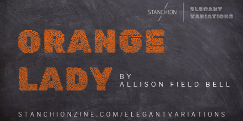 Best New Fiction: Orange Lady by Allison Field Bell