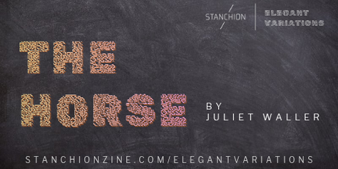 Best New Fiction: The Horse by Juliet Waller