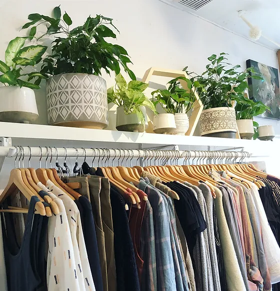 Kiko Sven A San Diego Gift Shop Jewelry Plants Clothes Baby Home Kiko Sven A San Diego Gift Shop Jewelry Plants Clothes Baby Home
