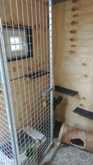 kattenhotel Apeldoorn