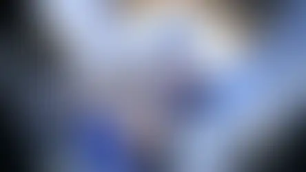 Honkai Star Rail - The Robin [ Live Wallpaper ]