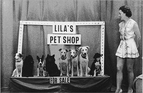 Lila and Dogs_edited.png