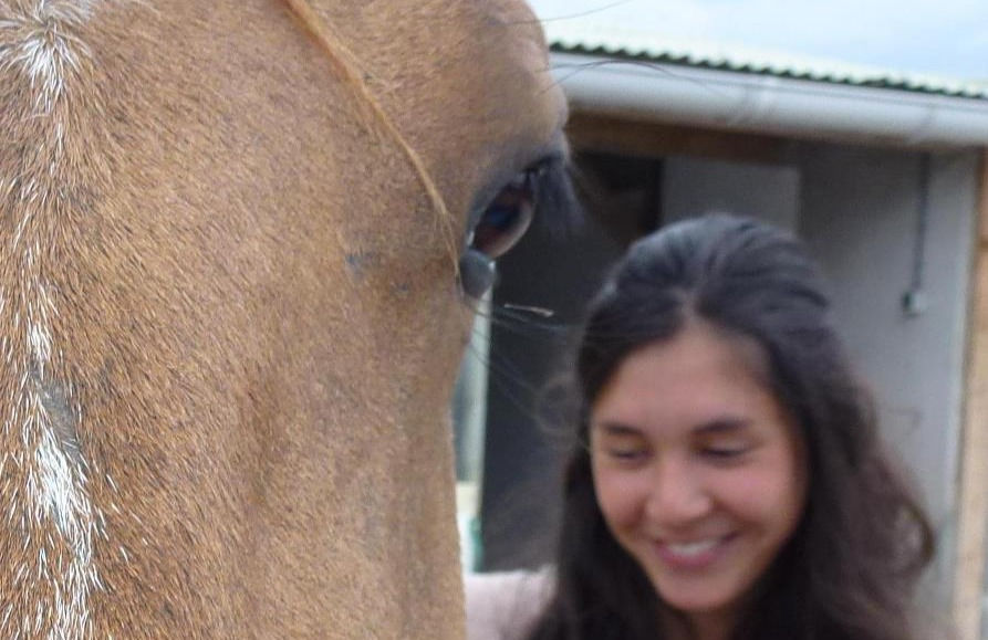 cheval, équithérapeute, équithérapie, médiation équine Loire-Atlantique 44