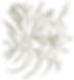 flower_cta.png