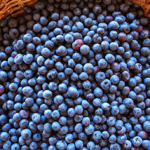 Lots of beautiful, luscious blueberries in a wicker basket.jpg