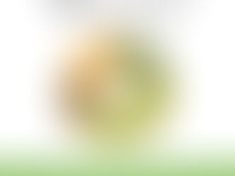 What is Biodiversity