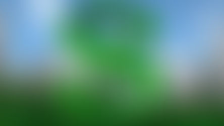 Types Of Investments: Where Should You Invest