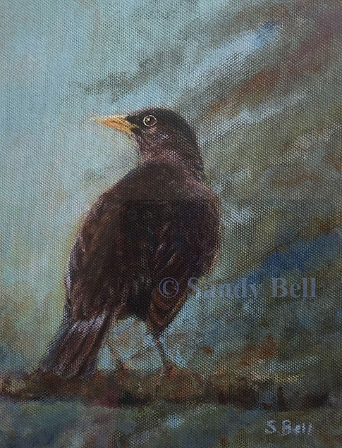 Blackbird 15 small marked.jpg
