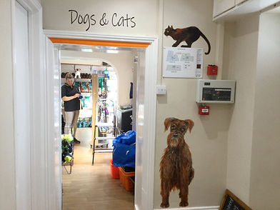 Dog and cat door.jpg