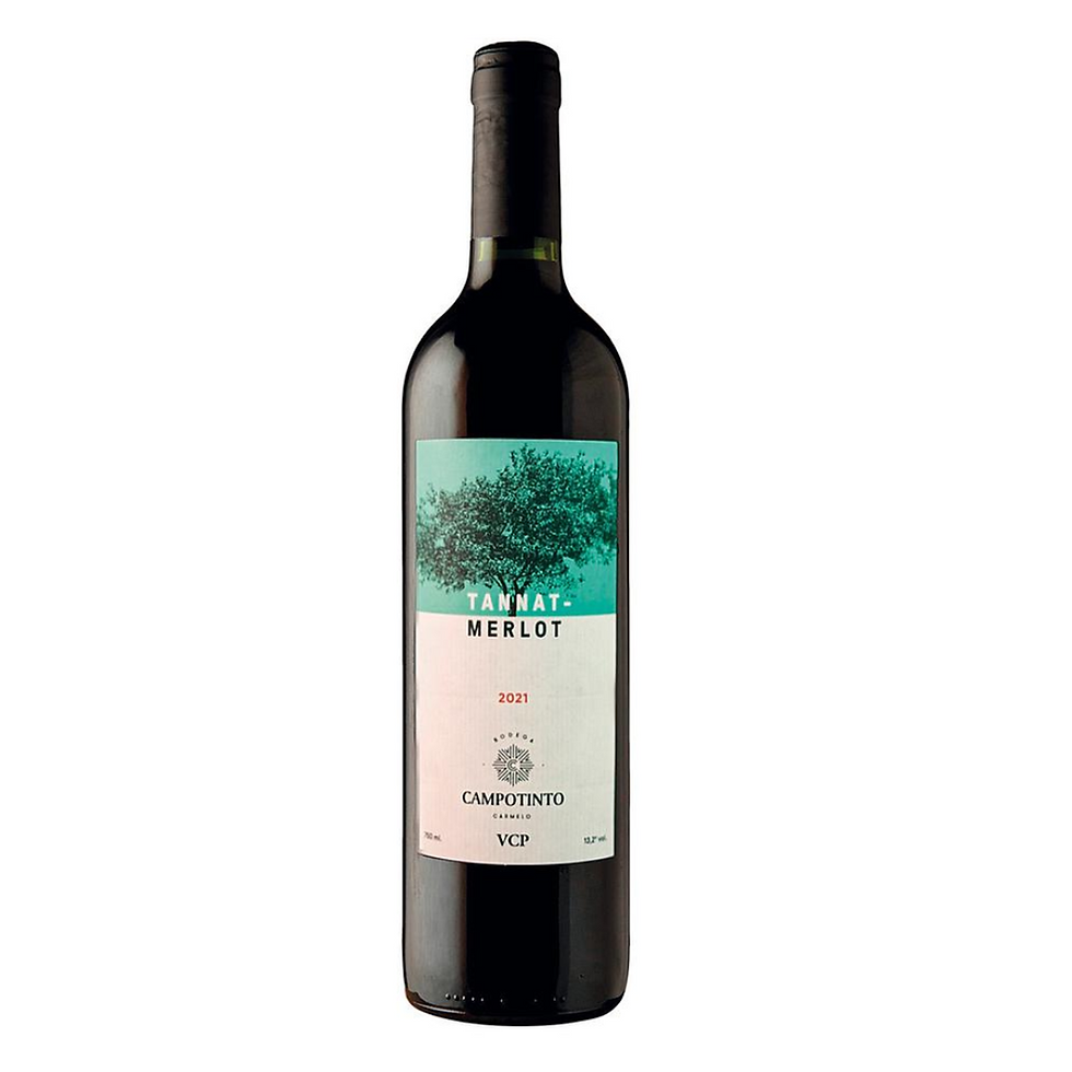 VINHO CAMPOTINTO BLANC TANNAT MERLOT 750ML
