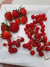 IMG-20250609-WA0005.jpg