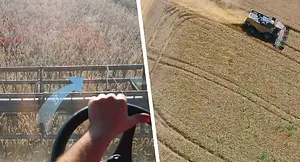 官网素材_画板 1 副本 14.webp