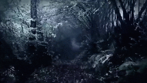 2018-11-22 18.51.38.gif