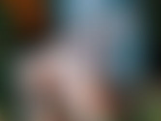 Норд готується до друку та передпродажів 🥳