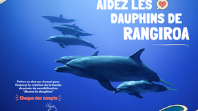 La Fondation Anavai lance une collecte pour aider les dauphins de Rangiroa !