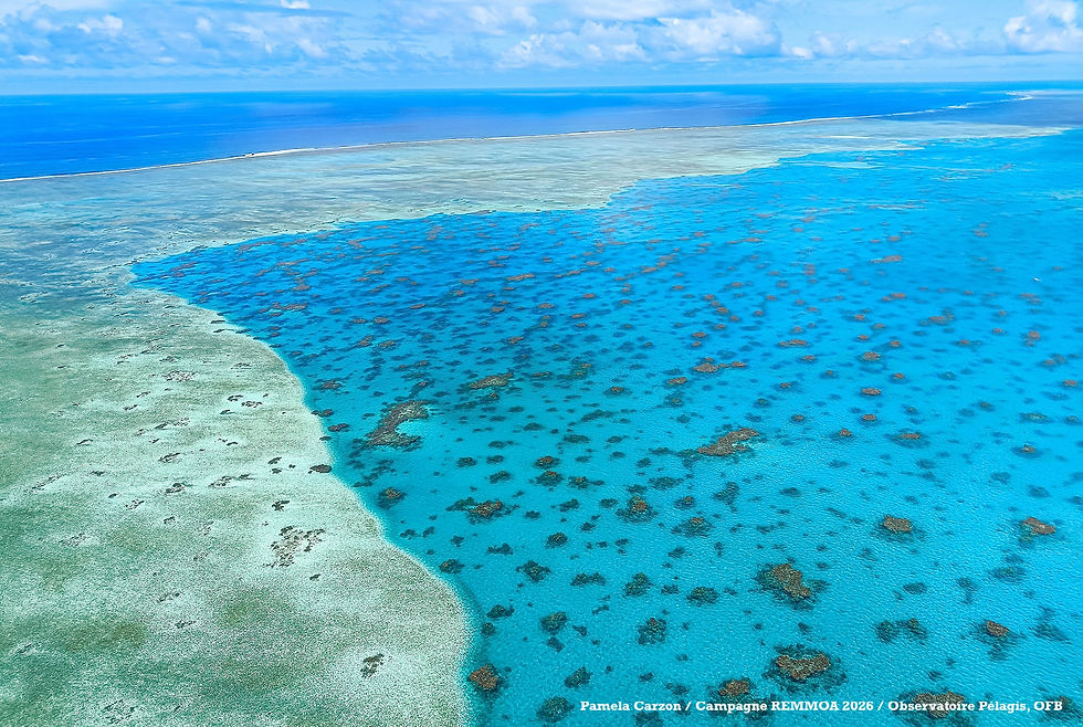 Vue du lagon de Tubuai, aux Australes