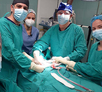 ΓΕΩΡΓΙΟΣ ΣΑΚΟΡΑΦΑΣ Χειρουργός Ενδοκρινών Αδένων, χειρουργοσ θυρεοειδους, χειρουργοι θυρεοειδους, επεμβαση θυροειδη, αφαιρεση θυροειδη, αφαιρεση θυρεοειδους, καρκινος θυρεοειδους, καρκινοσ θυρεοειδη ,εγχειρηση θυροειδη, οζοι θυρεοειδους, θυρεοειδεκτομη, αφαιρεση θυρεοειδουσ τιμη, χειρουργοσ θυροειδη, χειρουργός θυρεοειδούς, χειρουργός θυρεοειδή, χειρουργος για θυροειδη, εγχειρηση παραθυρεοειδους, αφαιρεση παραθυρεοειδους, αφαιρεση παραθυρεοειδων, αφαιρεση θυρεοειδουσ και παραθυρεοειδων, Σακοράφας Γεώργιος Χειρουργός Θυρεοειδούς, χειρουργοσ ενδοκρινων