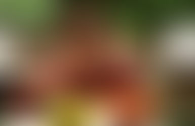 Realistic Meal-time Expectations