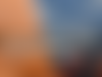 Aplicaciones Móviles para Conductores y Gestión de Flotas