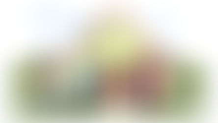 Perte de valeur d'un bien mal isolé