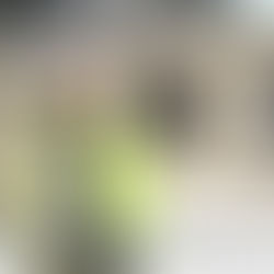 Tradisjon og nyskaping i 25 år