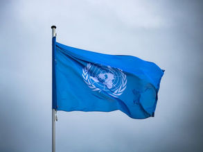 The Power and Role of the United Nations