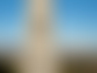 Beyond a Day: Why MLK Day and Black History Month Still Matter in 2026