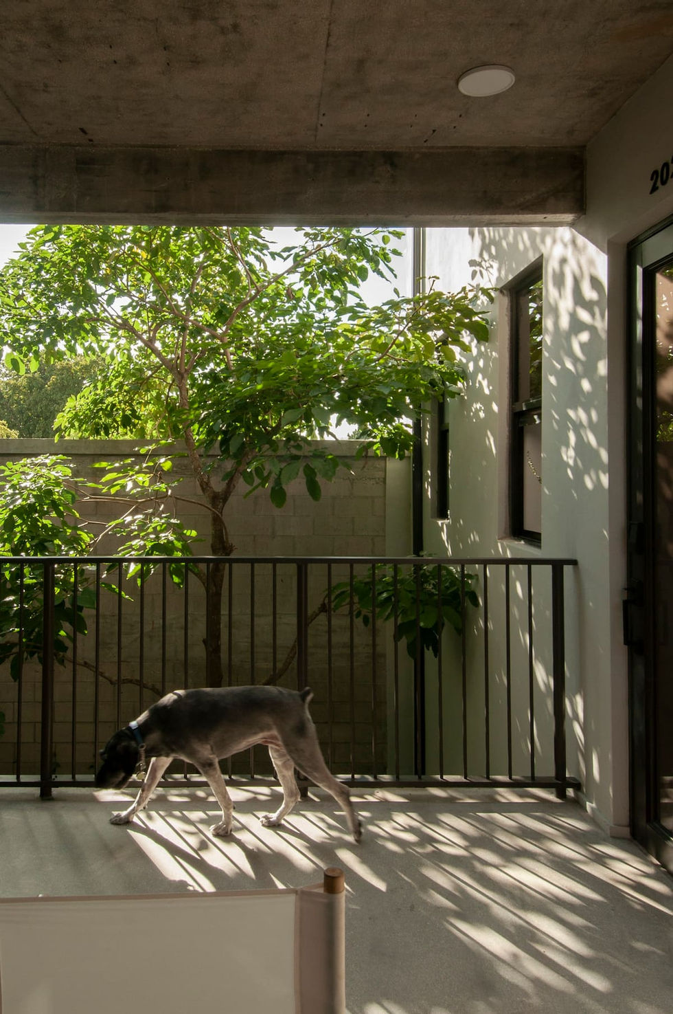 e7d534d8-9245-42e4-8e74-059736ae60ed