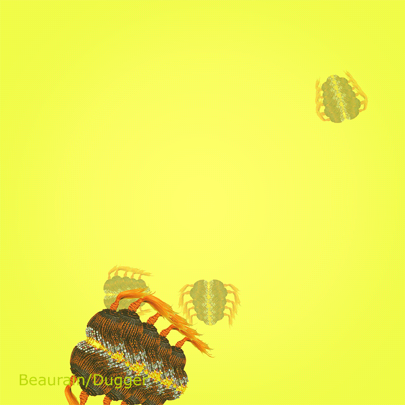 FBMD-16-800.gif