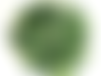 Chrysanthemum Greens Salad