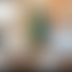 Trabalho de parceria contribui com desenvolvimento de Alta Floresta, diz vereador