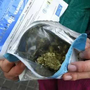 Final brasileira da Libertadores esquenta turismo da maconha em Montevidéu