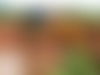 Prefeitura deu início os serviços de manutenção e recuperação das estradas vicinais