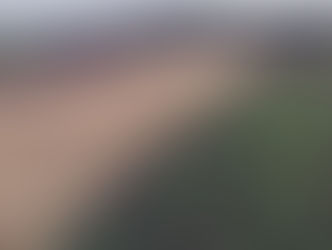 ESPIGÃO DO OESTE INICIA COLHEITA DE MILHO PARA PREPARO DE SILAGEM