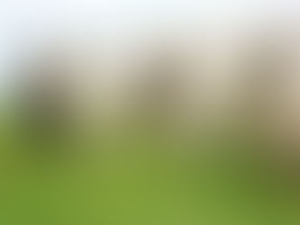 Preço da arroba do boi vivo em queda