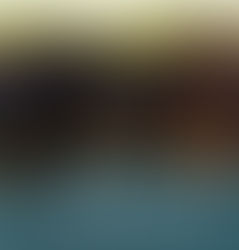 Os potenciais impactos de fiscalizar frigoríficos sem compromissos contra o desmatamento